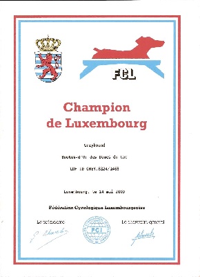Des dames du lac - CH BOUTON D'OR DES DAMES DU LAC EST HOMOLOGUE CHAMPION DU LUXEMBOURG