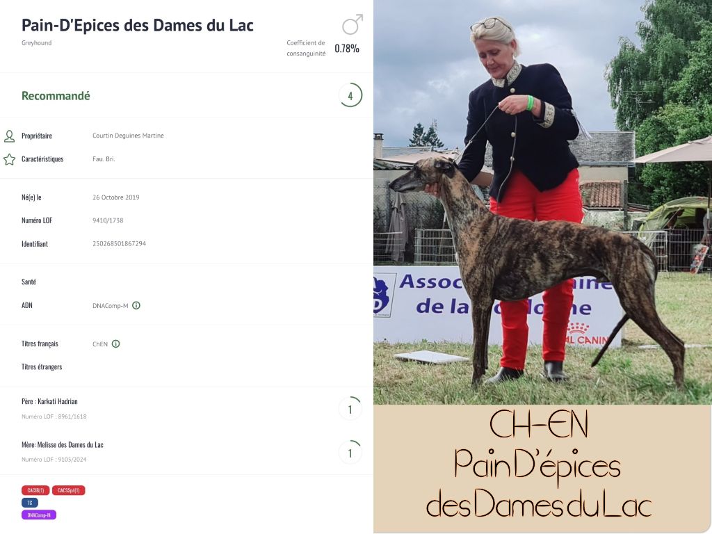 Des dames du lac - PAIN D'EPICES DES DAMES DU LAC est désormais CHAMPION