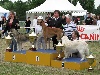  - Le Greyhound BOUTON D'OR DES DAMES DU LAC REMPORTE SON PREMIER BIS