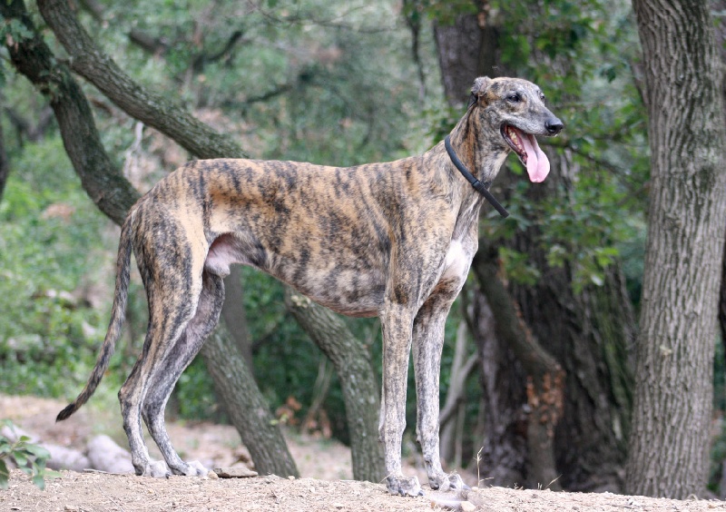 Deep impact Des dames du lac