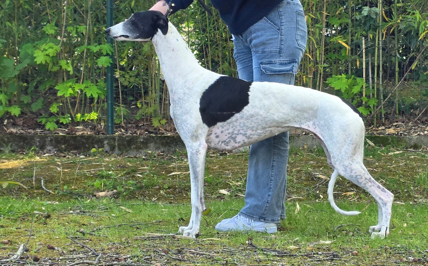 CH. Spiritus Sanctus Une barbara