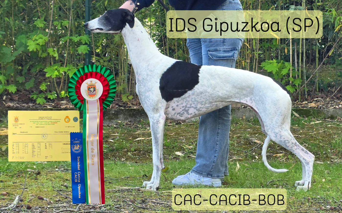 EXPOSITION INTERNATIONALE DE GIPUZKOA (Espagne)