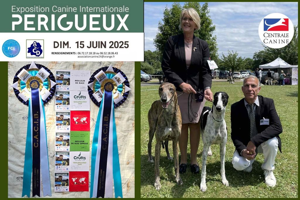 EXPOSITION INTERNATIONALE DE PERIGUEUX