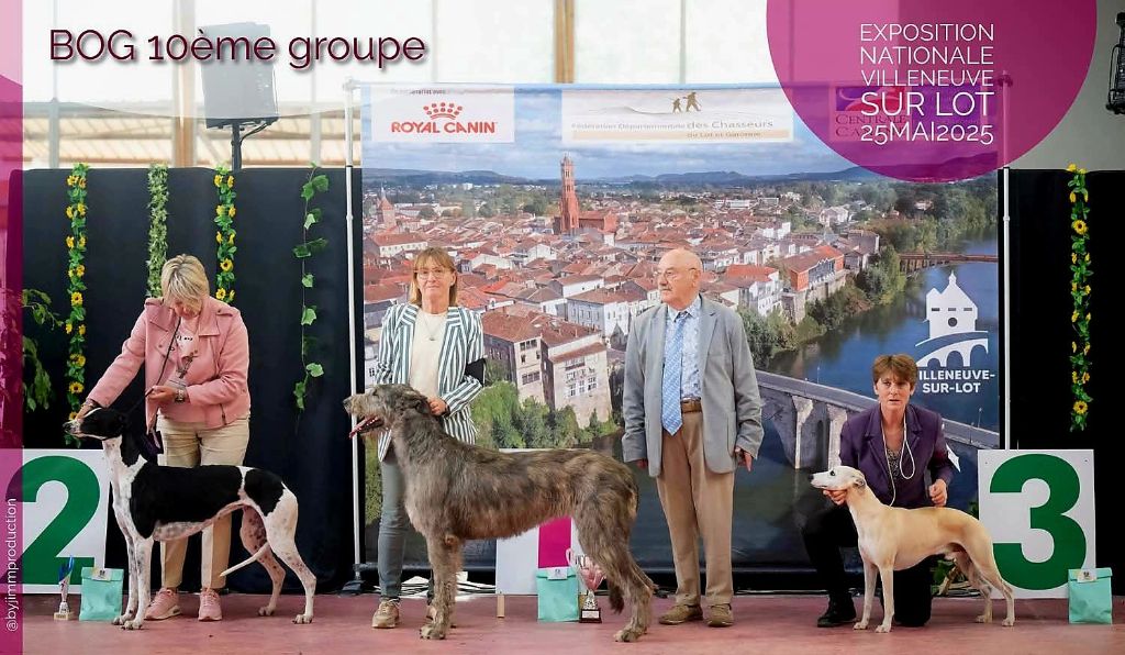 Des dames du lac - EXPOSITION NATIONALE DE VILLENEUVE SUR LOT