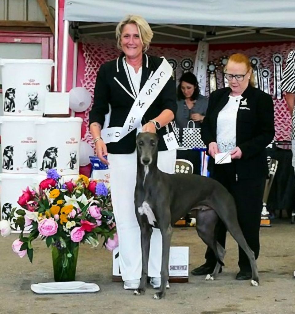 ENE Greyhound le 20/08/2025