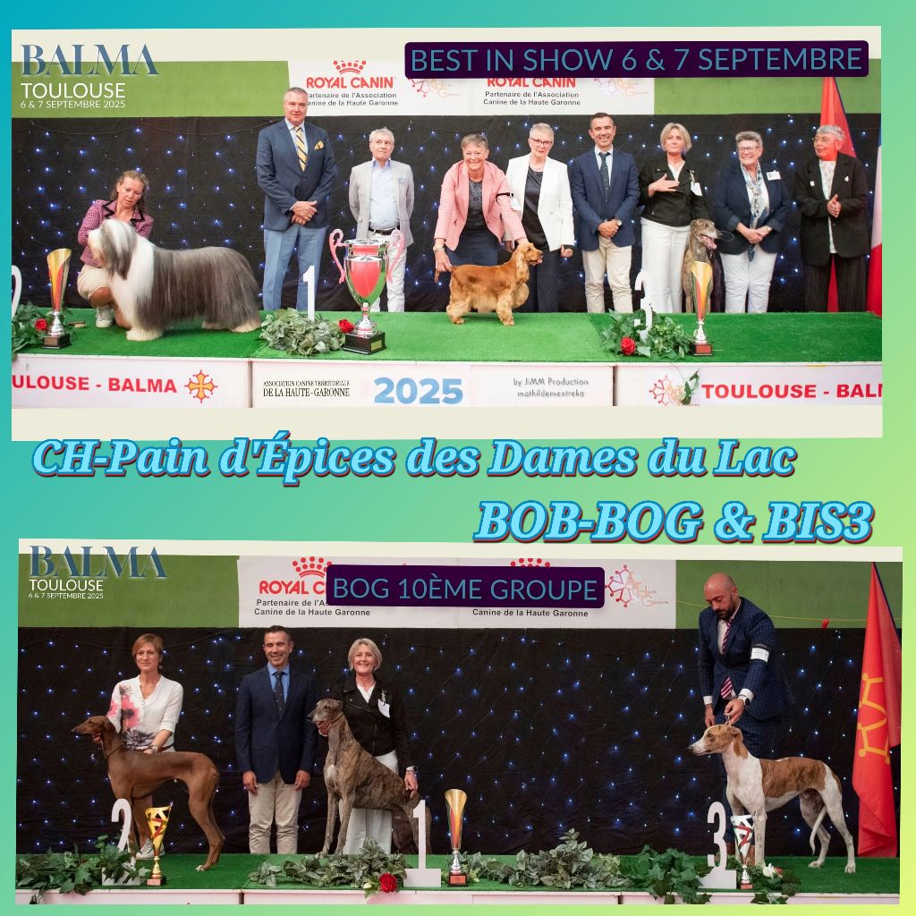 EXPOSITION INTERNATIONALE DE BALMA