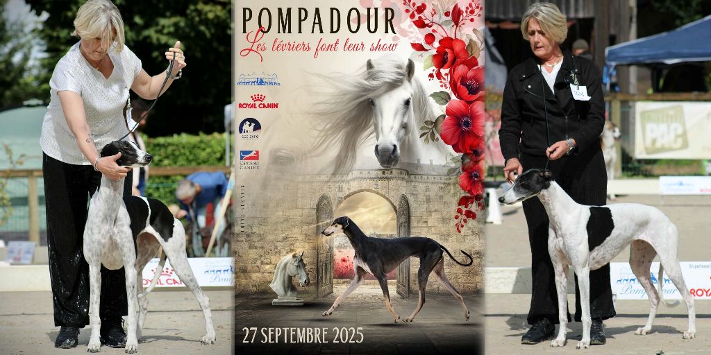 EXPOSITION NATIONALE SPECIALE LEVRIERS DE POMPADOUR