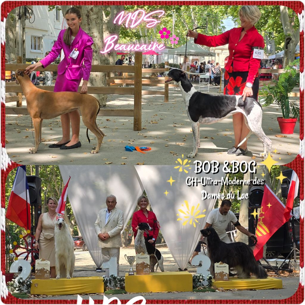 EXPOSITION NATIONALE DE BEAUCAIRE